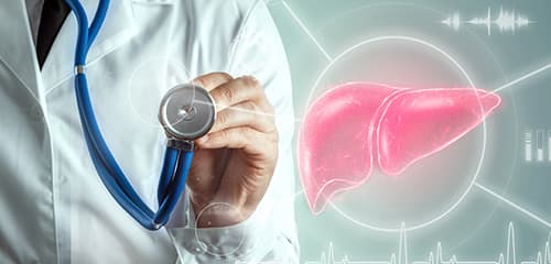Post-liver transplant rehabilitation support